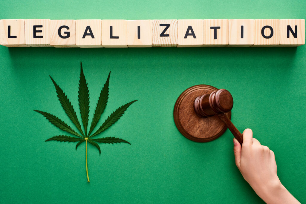 grüner Hintergrund auf dem Legalization auf Holz steht und eine Hand einen kleinen Hammer auf eine Holzplatte bewegt. Daneben eine Cannabis-Pflanze