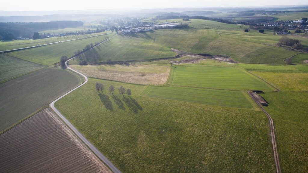 Ein weites Ackerfeld mit Energiepflanzen zeigt den Flächenverbrauch von Biomasse in Deutschland – Foto: NeiFo / Pixabay